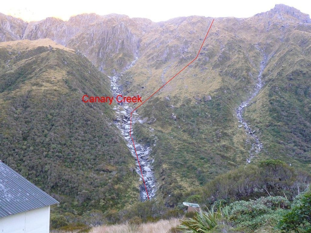 stream valley new zealand steep torrent group mountain blue danger